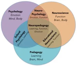  Neuropedagogy: Unveiling the Secrets of Learning Through Brain Science